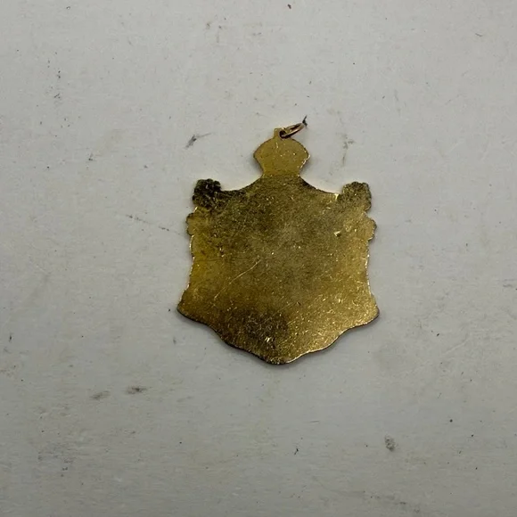 Vintage Hawaiian Coat Of Arms Enamel Pendant Jewelry Folk Art White Gold Tone - Picture 3 of 6